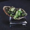 specimen video
