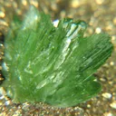 Ludlamite - image 2