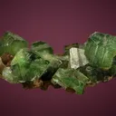 Ludlamite - image 3