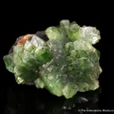 Ludlamite on Siderite - image 4