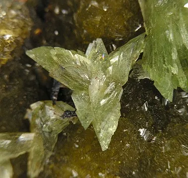 Ludlamite, Siderite - image 3