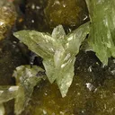 Ludlamite, Siderite - image 3