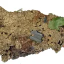 Ludlamite, Vivianite - image 1