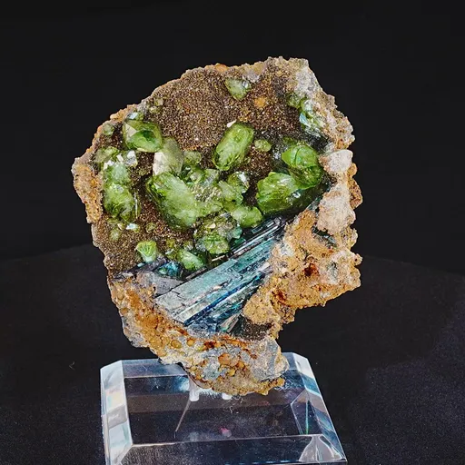 specimen video