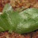 Ludlamite, Vivianite - image 3