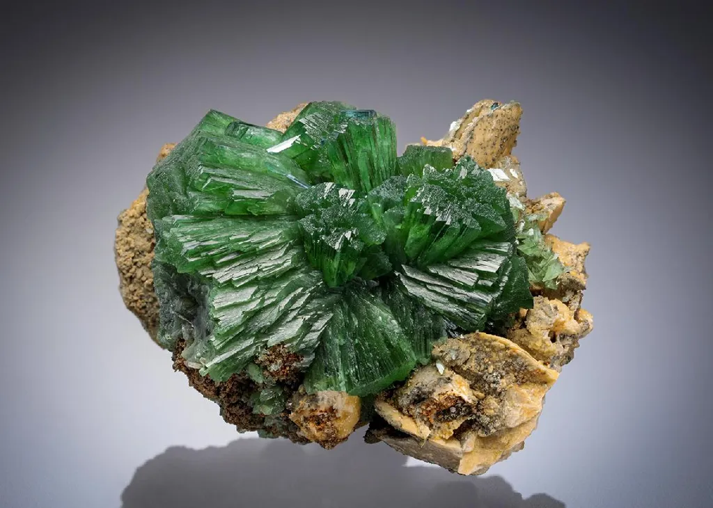 Ludlamite with Siderite image