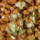 Ludlamite With Vivianite - image 3