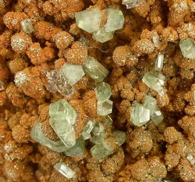 Ludlamite With Vivianite - image 3