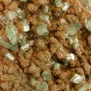 Ludlamite With Vivianite - image 4