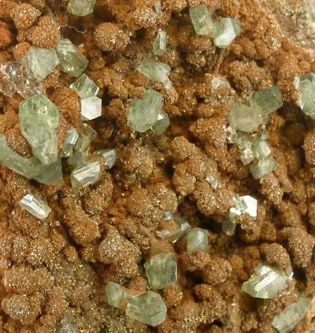 Ludlamite With Vivianite - image 4