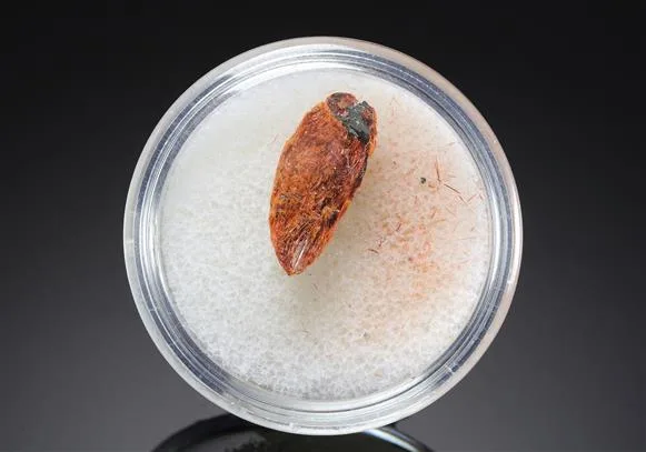 Ludlockite image