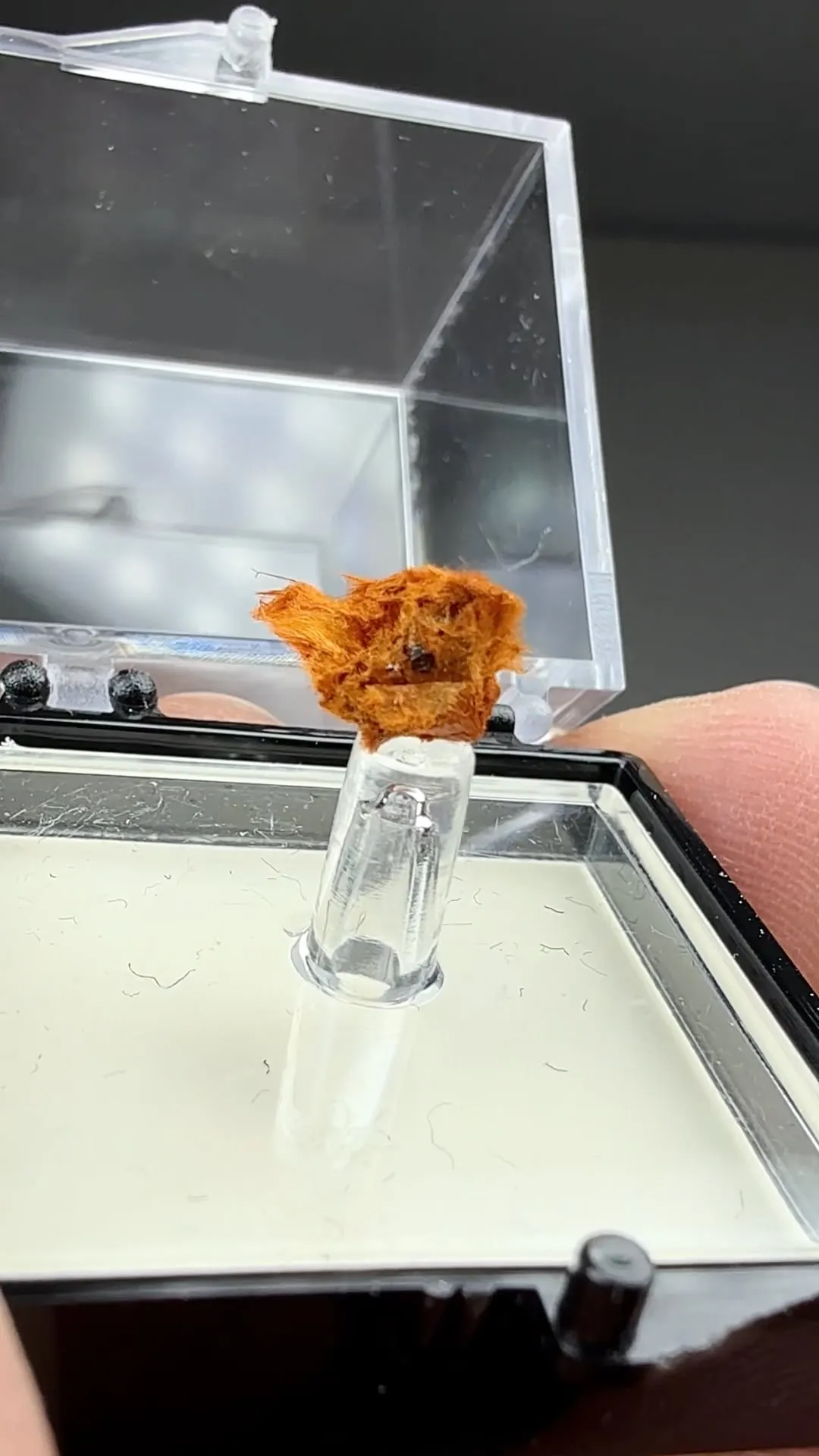 Ludlockite - image 2