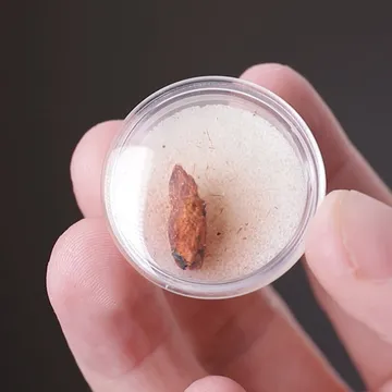 Ludlockite