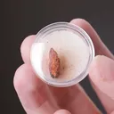 Ludlockite - image 2