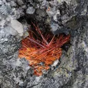 Ludlockite - image 1