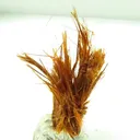 Ludlockite - image 4
