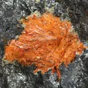Ludlockite - image 1