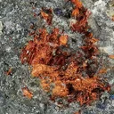 Ludlockite (Type Locality) in Germanite ore - image 1