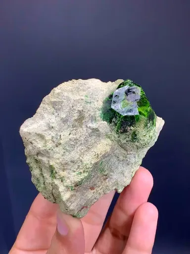 specimen video