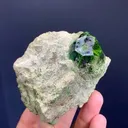 specimen video