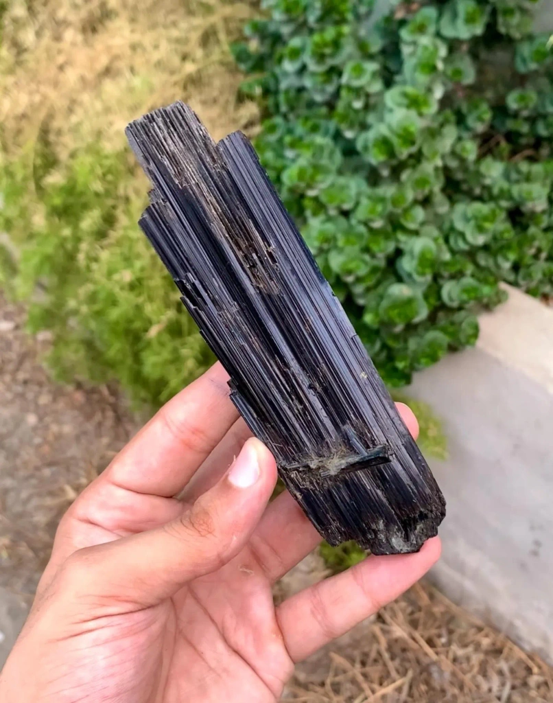 Lustrous 14 Cm long SChorl Black Tourmaline Crystal from Pakistan - image 2
