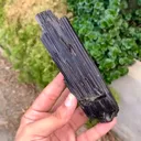 specimen video