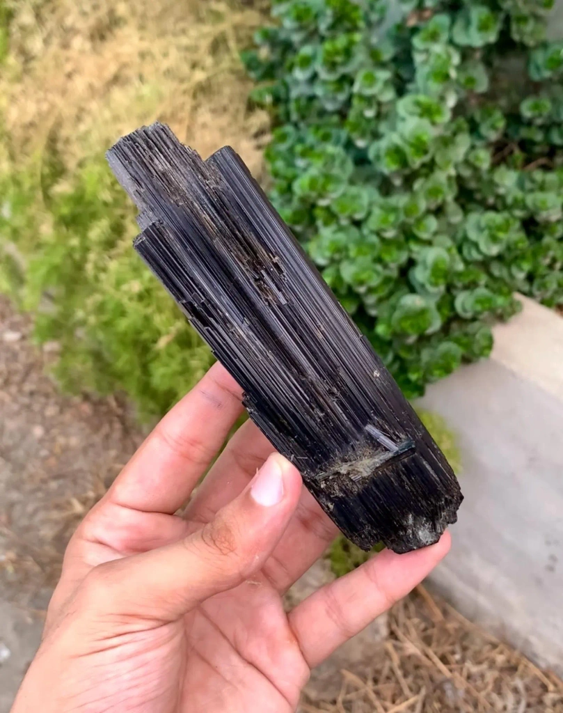 Lustrous 14 Cm long SChorl Black Tourmaline Crystal from Pakistan - image 5
