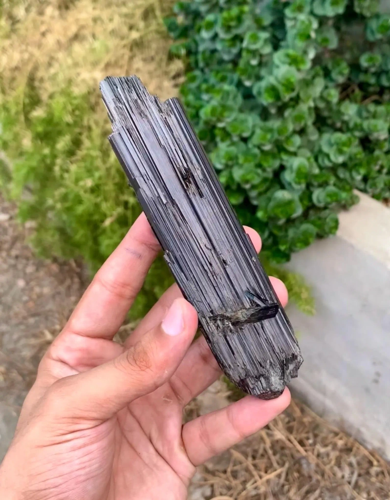 Lustrous 14 Cm long SChorl Black Tourmaline Crystal from Pakistan - image 6