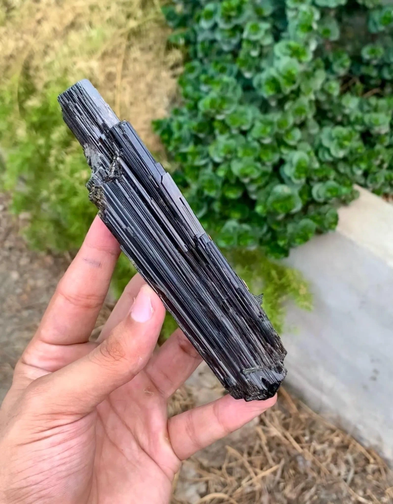 Lustrous 14 Cm long SChorl Black Tourmaline Crystal from Pakistan - image 7