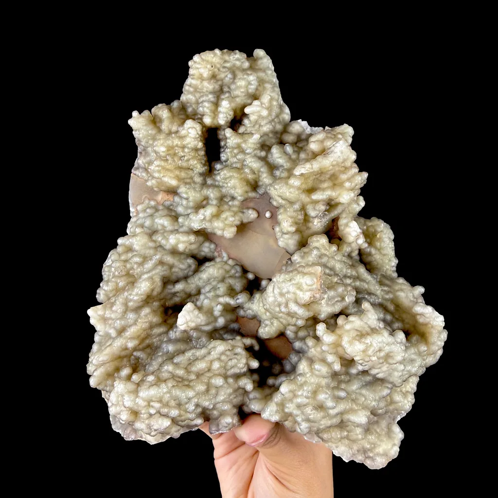 Lustrous Botryoidal Agatised Chalcedony Formation - Collector’s Large Cabinet Specimen from Chhatrapati Sambhaji Nagar, India image