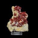 Lustrous Deep Red-Orange Vanadinite Crystals on Natural Matrix - Classic Collector Specimen from Mibladen, Morocco - image 1