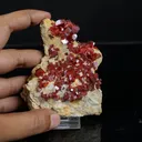 Lustrous Deep Red-Orange Vanadinite Crystals on Natural Matrix - Classic Collector Specimen from Mibladen, Morocco - image 4