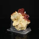 Lustrous Deep Red-Orange Vanadinite Crystals on Natural Matrix - Classic Collector Specimen from Mibladen, Morocco - image 2