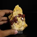Lustrous Deep Red-Orange Vanadinite Crystals on Natural Matrix - Classic Collector Specimen from Mibladen, Morocco - image 4
