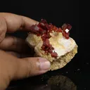 Lustrous Deep Red-Orange Vanadinite Crystals on Natural Matrix - Classic Collector Specimen from Mibladen, Morocco - image 4