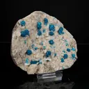 Lustrous Electric-Blue Cavansite Rosette with Stilbite on Sparkling Heulandite Matrix – Rare Indian Zeolite Mineral Specimen from Pune - image 3