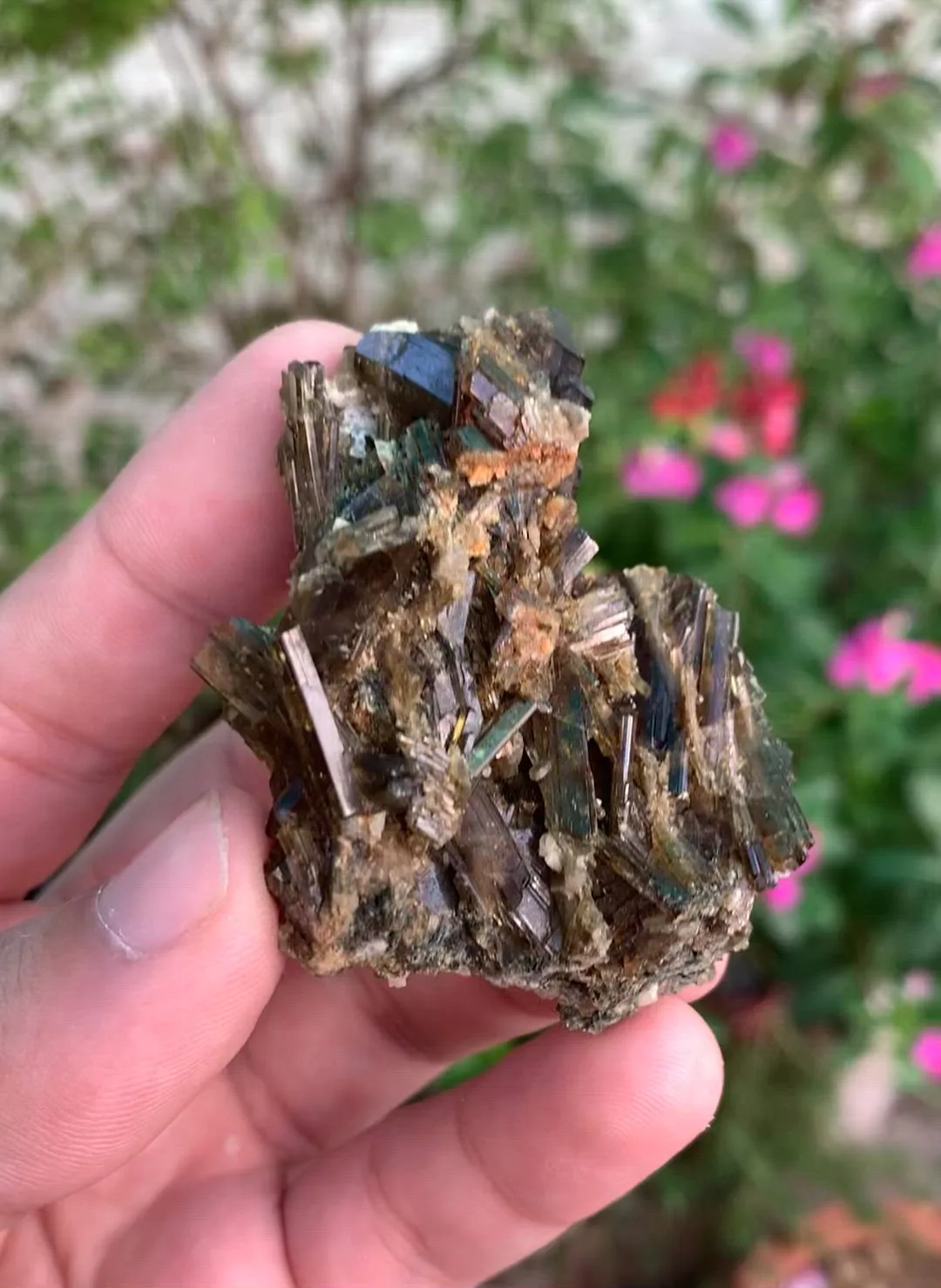 specimen video