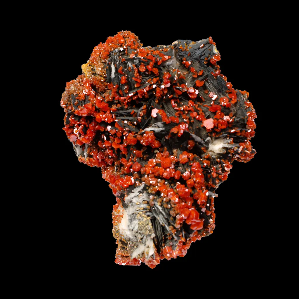 Lustrous Red Vanadinite on Black Blade Barite - Natural Raw Mineral Specimen from Mibladen, Morocco image
