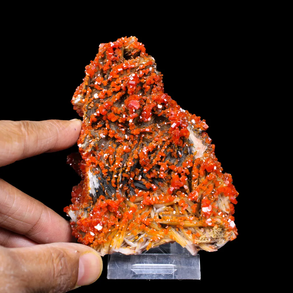Lustrous Red Vanadinite on Black Blade Barite - Natural Raw Mineral Specimen from Mibladen, Morocco - image 4