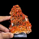 Lustrous Red Vanadinite on Black Blade Barite - Natural Raw Mineral Specimen from Mibladen, Morocco - image 4