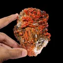 Lustrous Red Vanadinite on Black Blade Barite - Natural Raw Mineral Specimen from Mibladen, Morocco - image 5