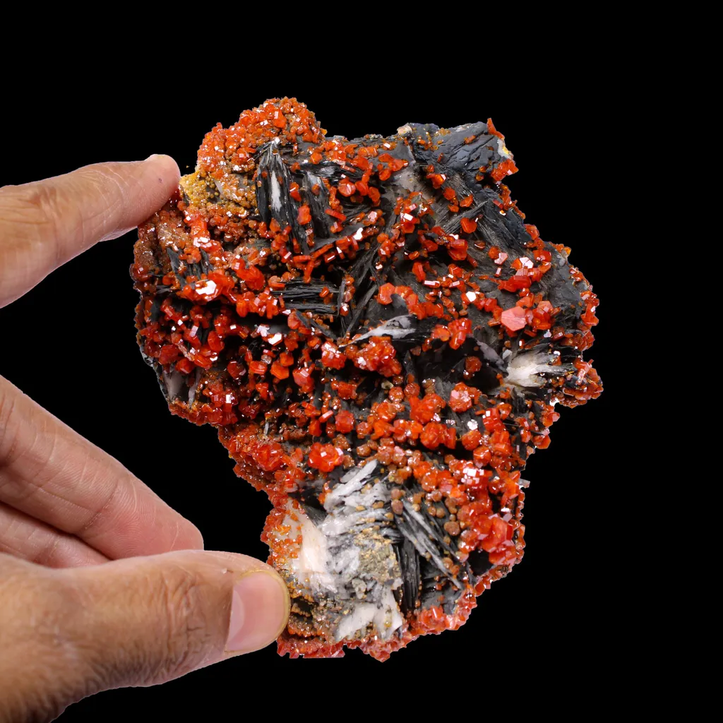 Lustrous Red Vanadinite on Black Blade Barite - Natural Raw Mineral Specimen from Mibladen, Morocco - image 4