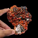 Lustrous Red Vanadinite on Black Blade Barite - Natural Raw Mineral Specimen from Mibladen, Morocco - image 4