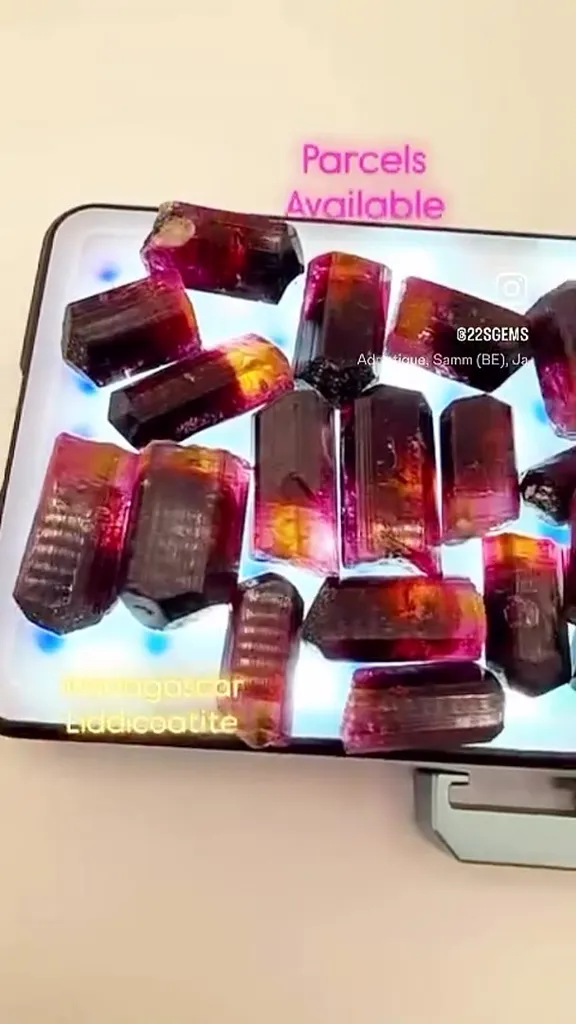 MADAGASCAR Liddicoatite CANDY image
