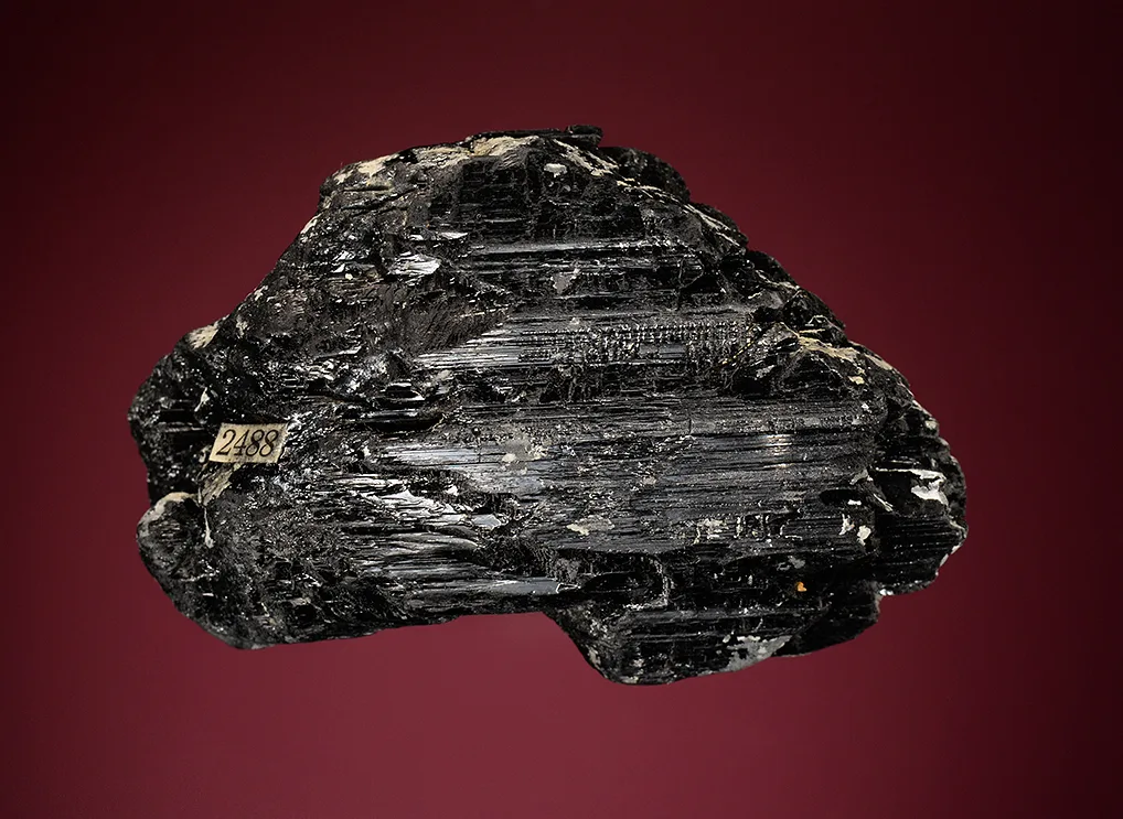 Magnesio-hastingsite - image 2