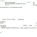 Magnesio-hastingsite - image 7