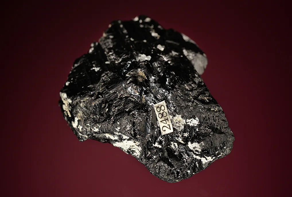 Magnesio-hastingsite - image 6