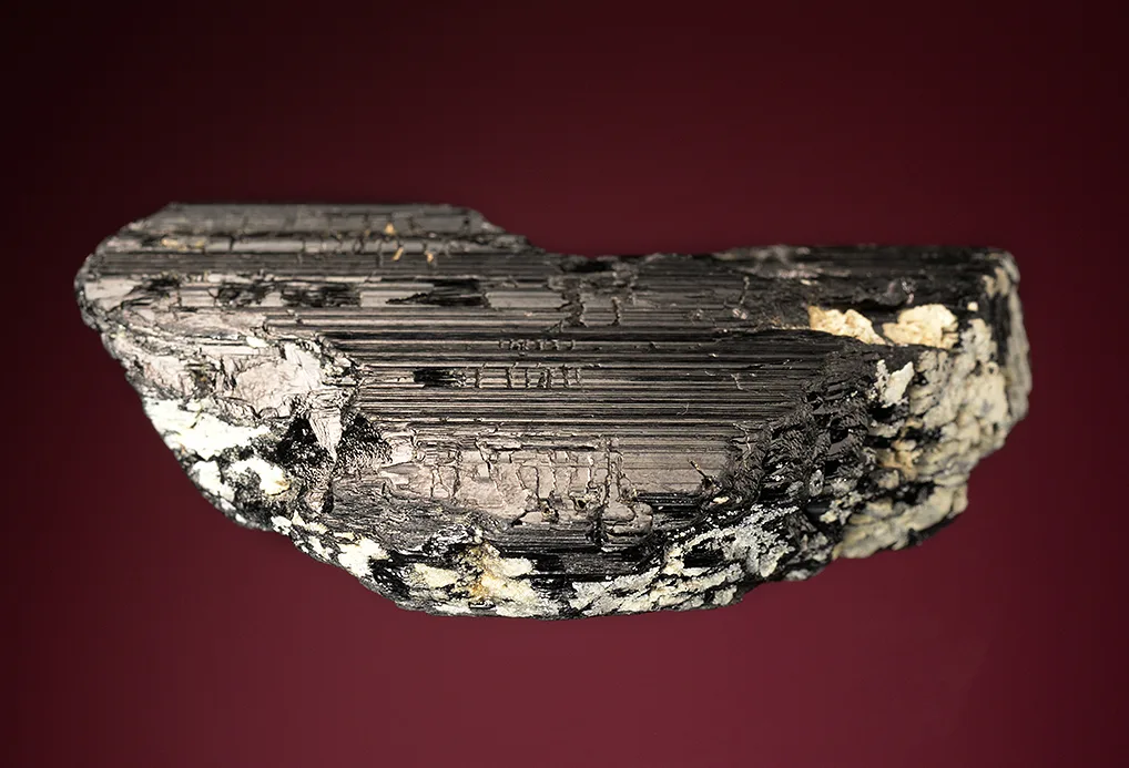 Magnesio-hastingsite - image 3