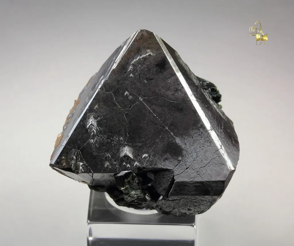 MAGNETITE, ACTINOLITE image