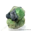 Magnetite and Peridot - image 1